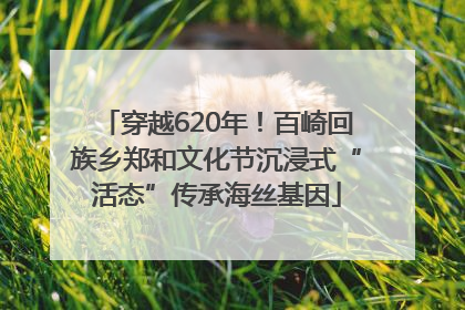 穿越620年！百崎回族乡郑和文化节沉浸式“活态”传承海丝基因